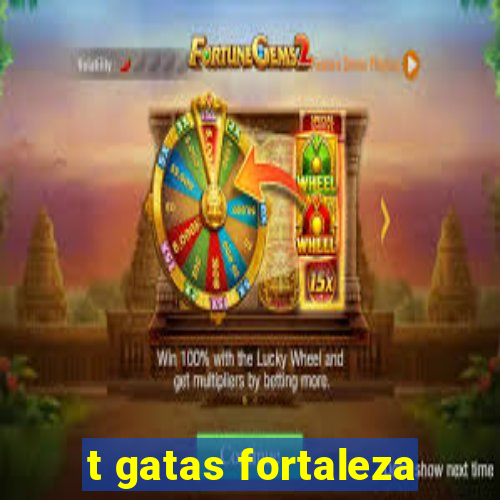 t gatas fortaleza